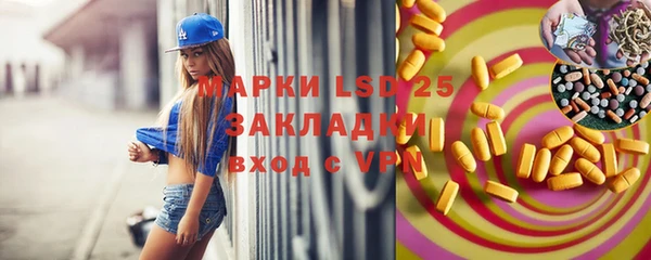 индика Аркадак