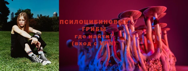 МДПВ Арсеньев