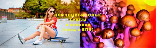 индика Аркадак