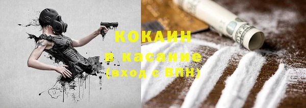 индика Аркадак