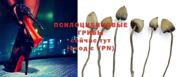 МДПВ Арсеньев