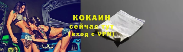 индика Аркадак
