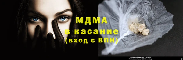 индика Аркадак