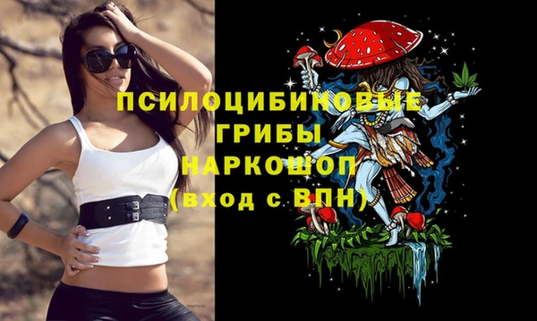 тгк Армянск