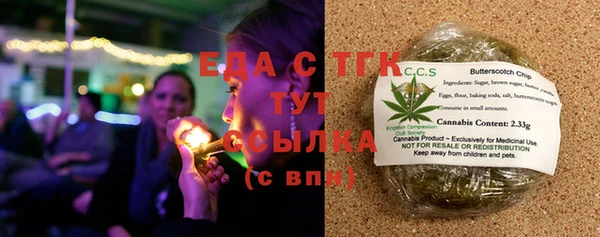 индика Аркадак