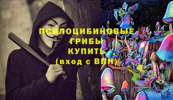 тгк Армянск