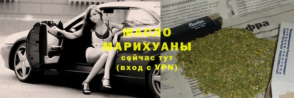 индика Аркадак